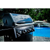 Гриль газовый Broil King Crown 410 фото_2 